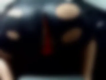 leatherman31 photo 2