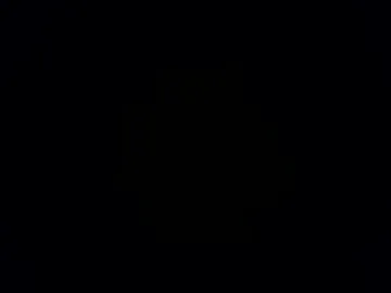 leiladream webcam preview