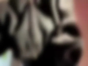 lenniepennachio photo 7