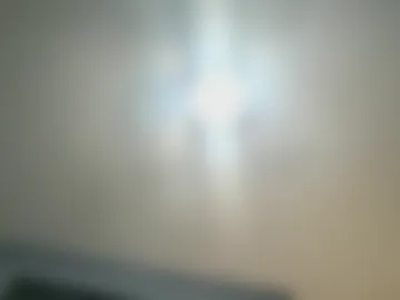 leobayne live webcam preview