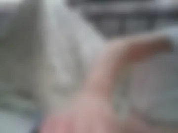 leon7069 live webcam preview