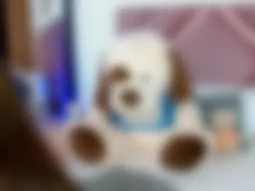 leonacutecam webcam preview