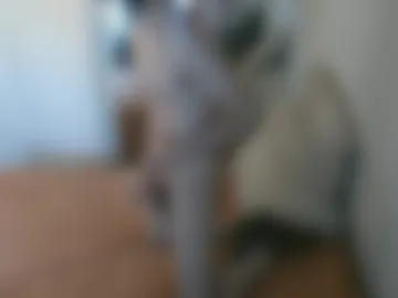 leonardomine photo 4