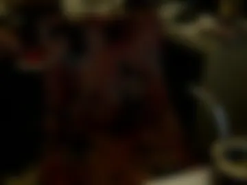 leonquiet live webcam preview