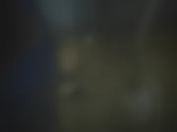 leopentheratigris live webcam preview