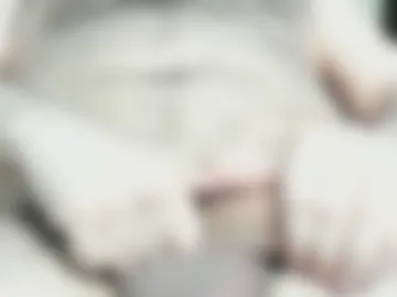 letmestretchyou1 photo 5