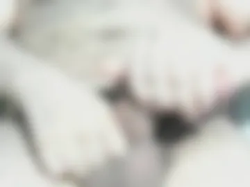 letmestretchyou1 photo 3