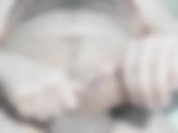 letmestretchyou1 live webcam preview