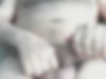 letmestretchyou1 photo 8
