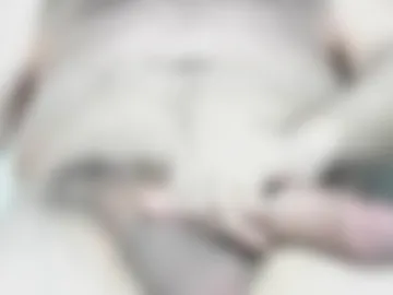 letmestretchyou1 webcam preview