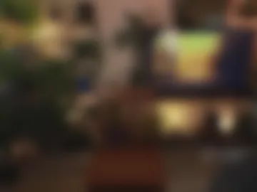 levity_opossum photo 8