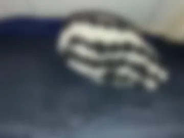 lewenzi photo 3