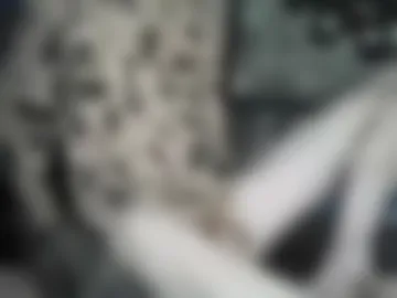 lex_13 live webcam preview
