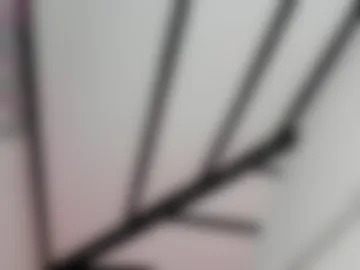 liahfontaine photo 2