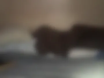lickurlipz1 live webcam preview