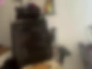 liliandaniels photo 7