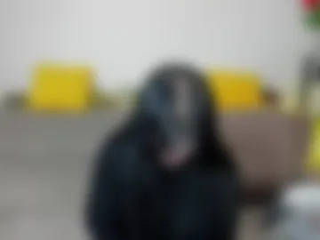 lilith_wholsh photo 3