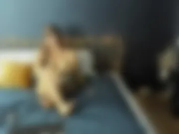 lilithvice live webcam preview