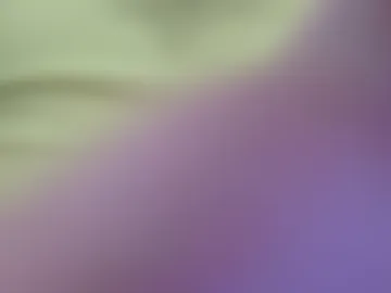 lillkit webcam preview