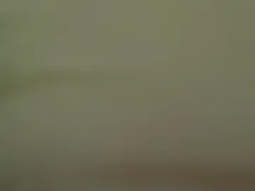 lillkit photo 4
