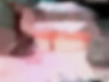 lily288990 live webcam preview