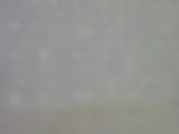 lindamlem webcam preview