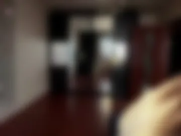 linggomes webcam preview