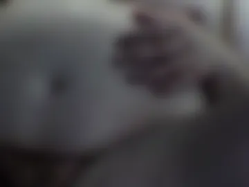 links29 live webcam preview