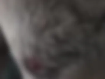 lionheart128 live webcam preview