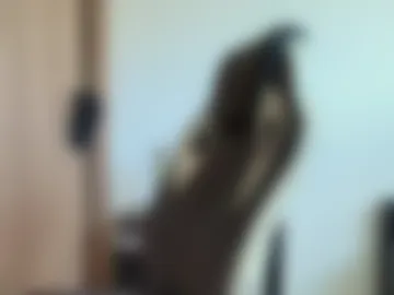 liorvante webcam preview