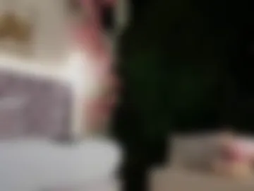 lis_vega_ webcam preview