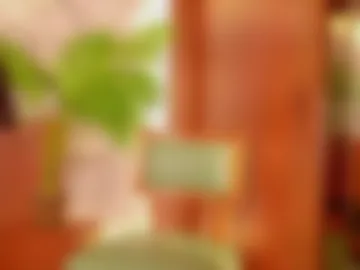 lissafeniix webcam preview