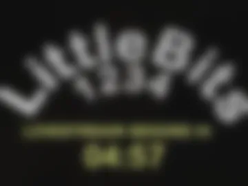 littlebits1234 photo 7