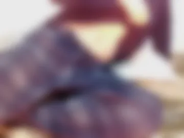 littleboy966 photo 3