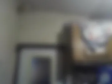 littlegrey376 photo 5