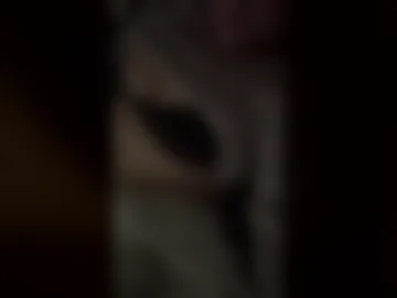 livineasy33 webcam preview