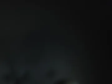 lizableu webcam preview