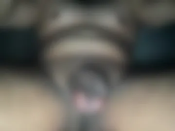 lno14 live webcam preview