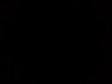 loadshoo live webcam preview