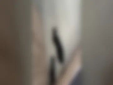 loadshoo live webcam preview