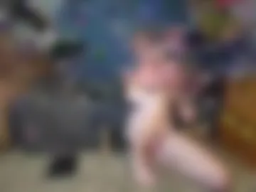 lockedboitoy live webcam preview