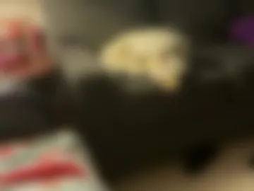 logical12345 live webcam preview