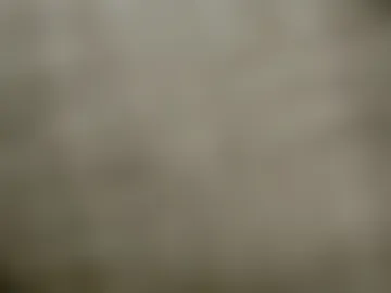 lokottero live webcam preview