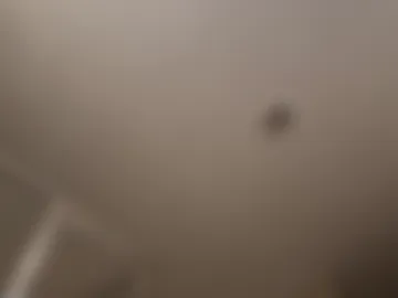 lonelypirate2026 photo 6