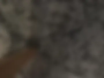 long_me7 webcam preview