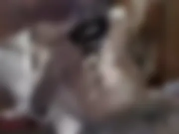 longjohnpurp29 webcam preview