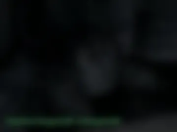 longmint96 webcam preview