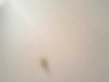 longstrokes5 webcam preview
