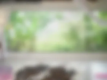 loollypop24 webcam preview