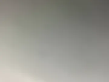 loseerrr live webcam preview
